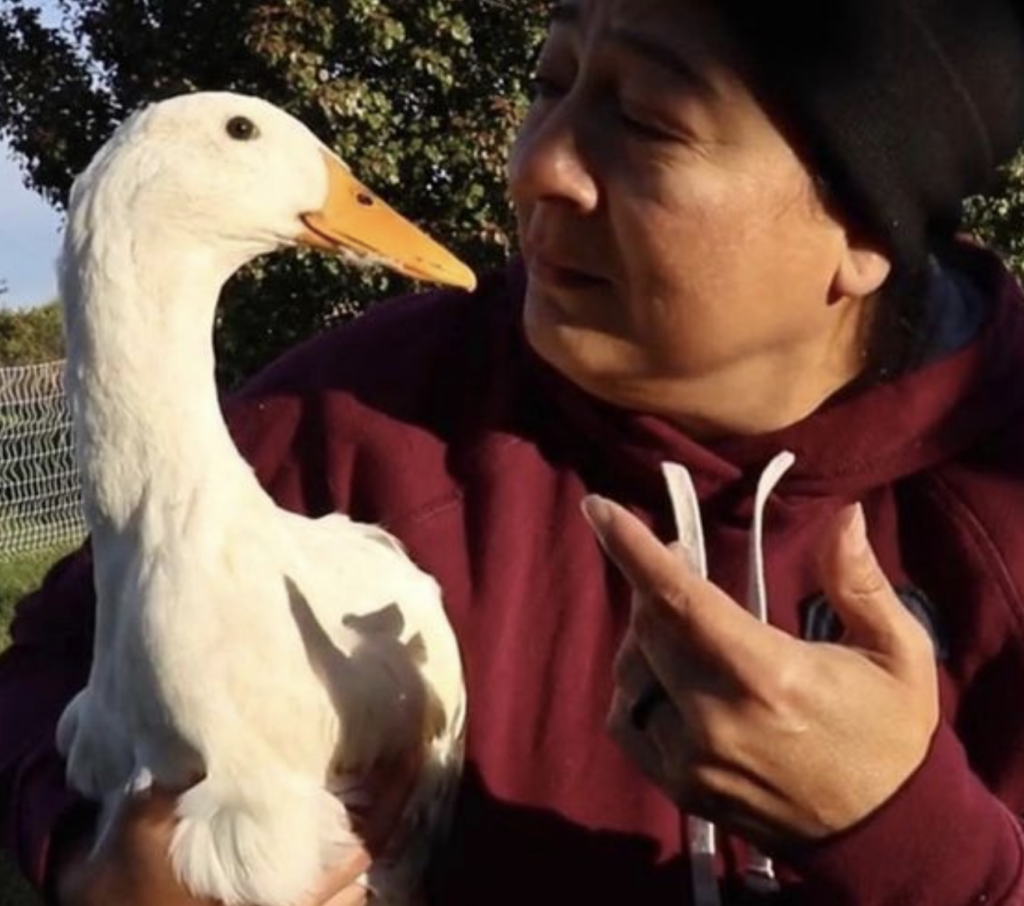 Raising ducks for nutrient dense and delicious eggs