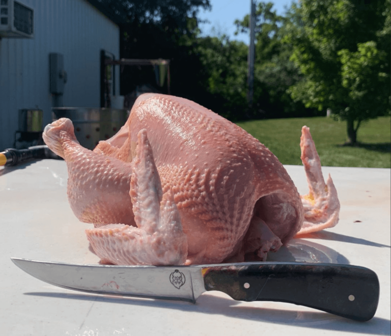 Getting Started with Cornish Cross Chickens